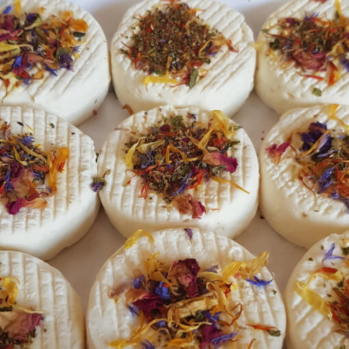 Tomates et courgettes rondes