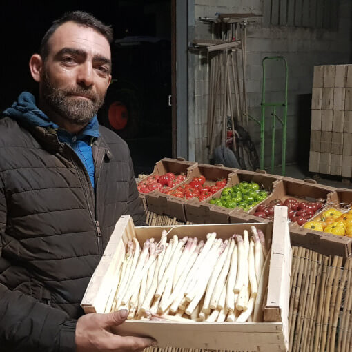 Asperge sortant de la butte